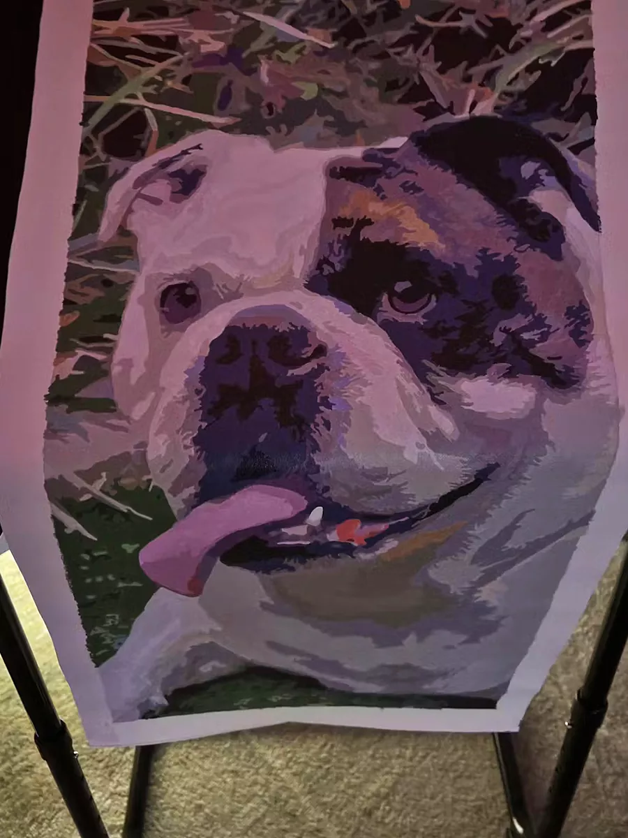 Paint By Numbers Custom​ Pets rev 4