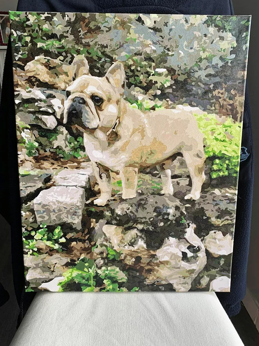 Paint By Numbers Custom​ Pets rev 5