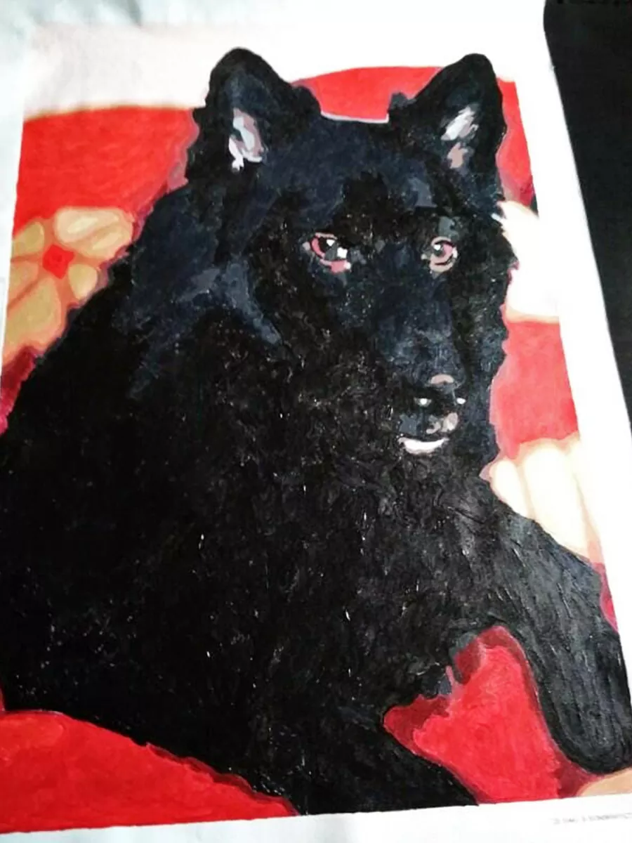 Paint By Numbers Custom​ Pets rev 7