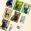 Black Monkey Mini Paint By Numbers