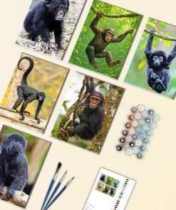 Black Monkey Mini Paint By Numbers