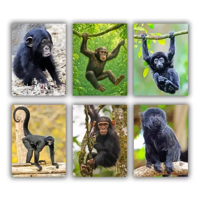 Black Monkey Mini Paint By Numbers