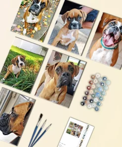 Brown Boxer Mini Paint By Numbers