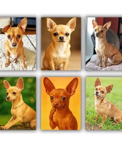 Brown Chiweenie Mini Paint By Numbers