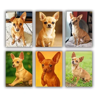 Brown Chiweenie Mini Paint By Numbers