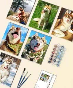 Brown Husky Mini Paint By Numbers