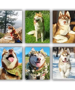 Brown Husky Mini Paint By Numbers