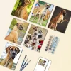 Great Dane Mini Paint By Numbers