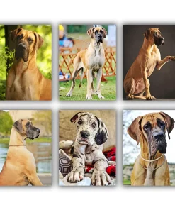 Great Dane Mini Paint By Numbers