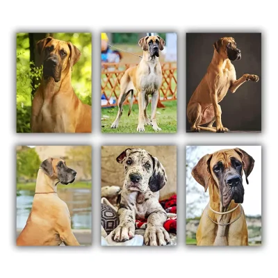 Great Dane Mini Paint By Numbers