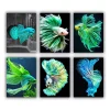 Green Betta Mini Paint By Numbers