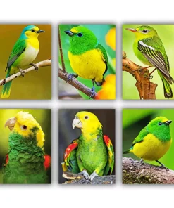 Green Bird Mini Paint By Numbers