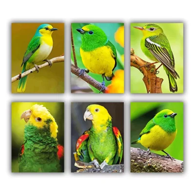 Green Bird Mini Paint By Numbers