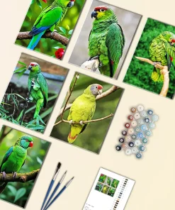 Lilacine Amazon Mini Paint By Numbers