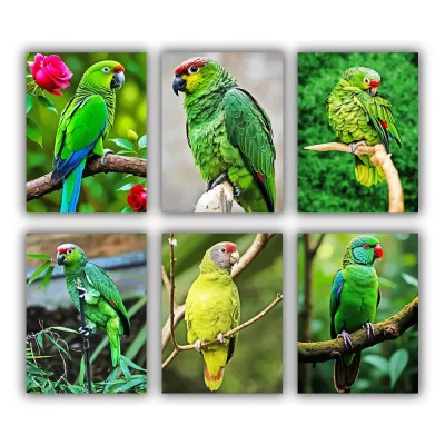 Lilacine Amazon Mini Paint By Numbers