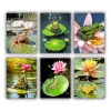 Lily Pad Frog Mini Paint By Numbers