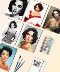 Liz Taylor Mini Paint By Numbers