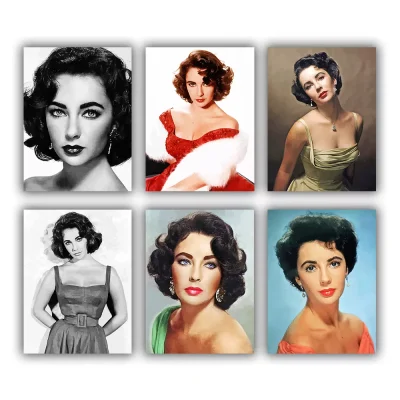 Liz Taylor Mini Paint By Numbers