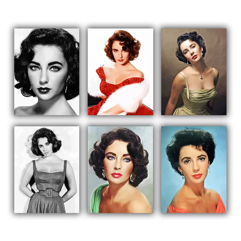 Liz Taylor Mini Paint By Numbers Liz Taylor Mini Paint By Numbers
