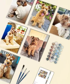 Mini Schnauzer Mini Paint By Numbers