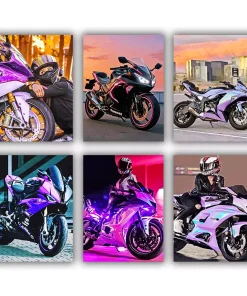 Purple Motorcycle Mini Paint By Numbers