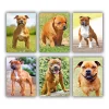 Staffordshire Bull Mini Paint By Numbers