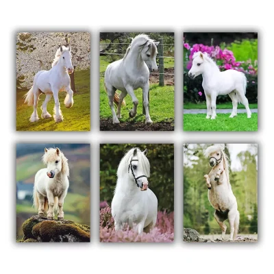 White Pony Mini Paint By Numbers