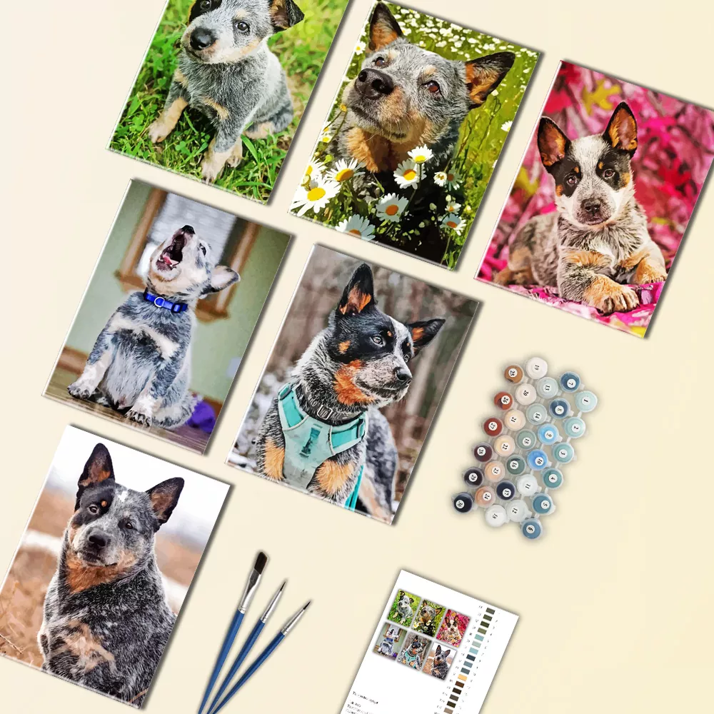 blue heeler mini paint by numbers