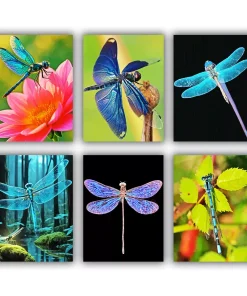 dragonfly Mini Paint By Numbers