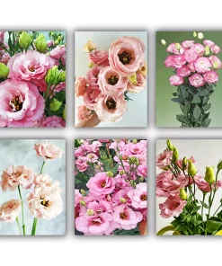 Lisianthus Corelli Mini Paint By Numbers