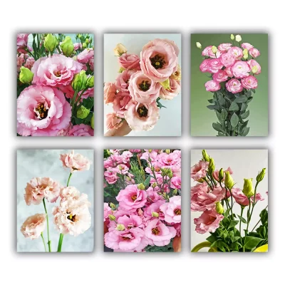 Lisianthus Corelli Mini Paint By Numbers